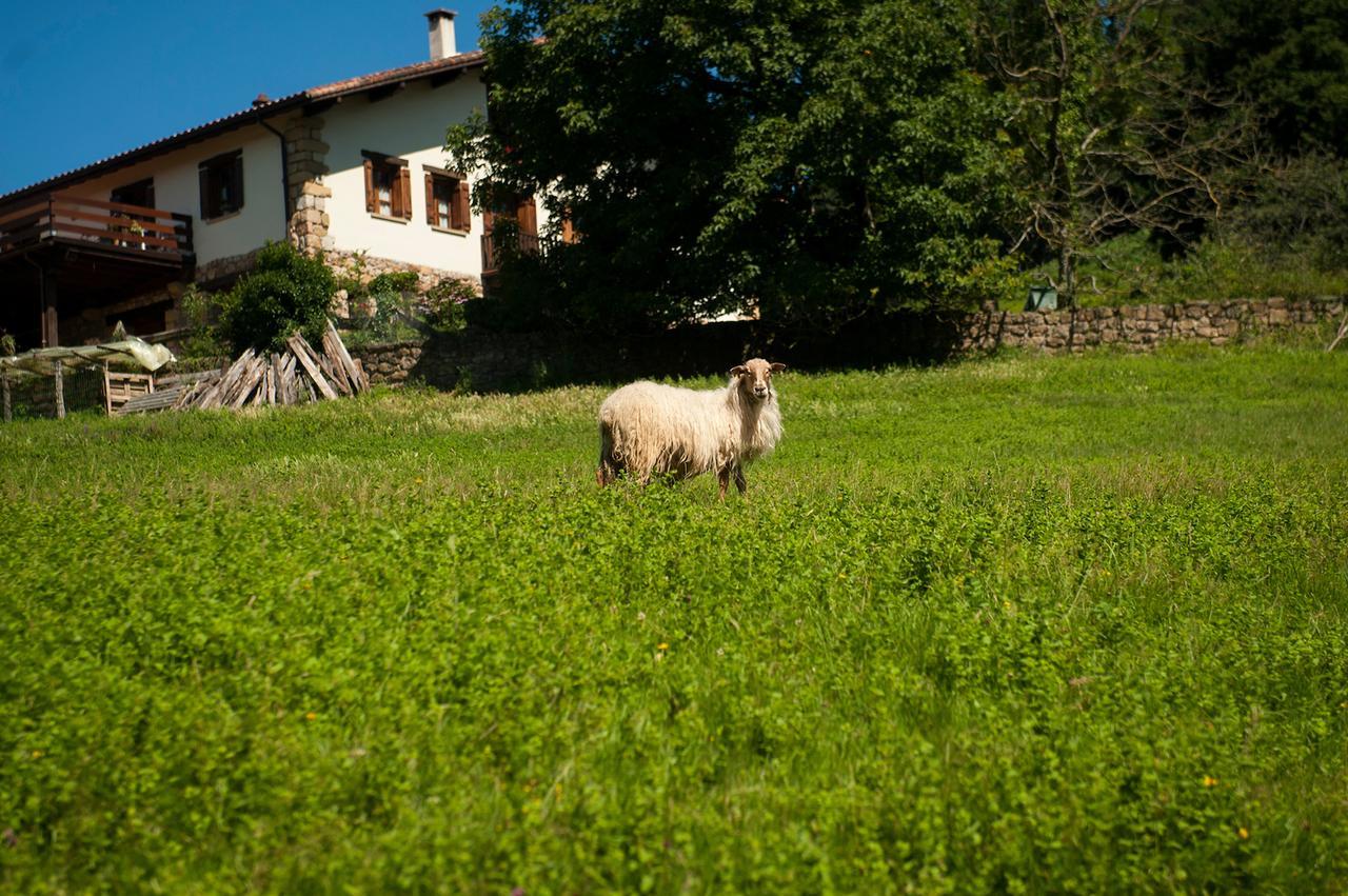 Casa Peluaga Pension Oiartzun Buitenkant foto